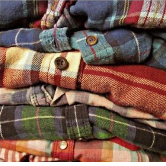 Meet your Posher, Holly - Picture 5 of 16